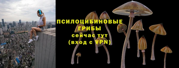 метадон Богородицк