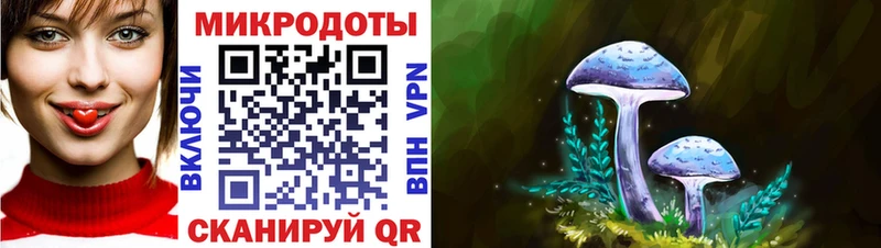 Псилоцибиновые грибы Magic Shrooms где купить Сыктывкар